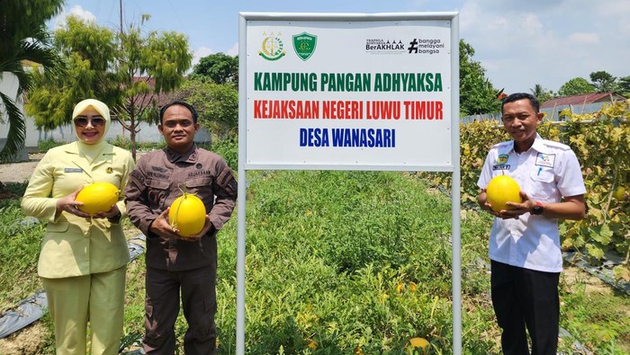 Kajari Luwu Timur, Yadyn (memakai kemeja cokelat) saat panen Kampung Pangan Adhyaksa(dok.pri)