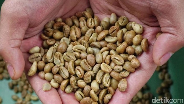Kopi robusta asal Pagaralam.
