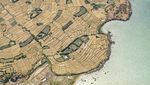 Lombok Timur Siaga Kekeringan, Sawah-sawah Mengering!