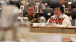 Potret Menteri Siti Nurbaya Raker dengan Komisi IV DPR