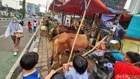 Sejumlah pedagang berjualan hewan kurban di atas trotoar Jalan Mas Mansyur, Tanah Abang, Jakarta, Rabu (12/6/2024).