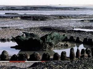 Situs Misterius Seahenge di Inggris Terungkap, Ternyata untuk Ritual