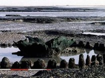 Situs Misterius Seahenge di Inggris Terungkap, Ternyata untuk Ritual