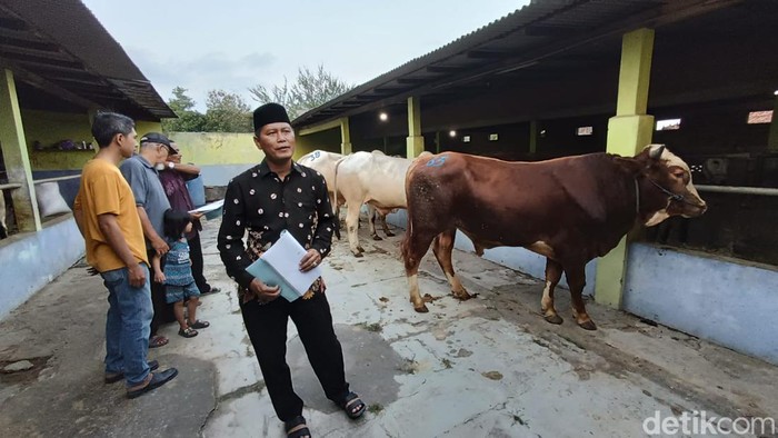 Olan Suparlan saat ditemui di Supermarket Sapi UD Mulyo Slamet, Sentolo, Kulon Progo, Rabu (12/6/2024)