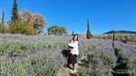 Pengalaman Wisata Petik Bunga Lavender, Tempatnya Indah Banget