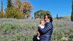 Pengalaman Wisata Petik Bunga Lavender, Tempatnya Indah Banget