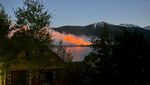 Potret Horror Kebakaran Hutan di Colorado AS