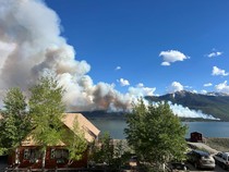 Potret Horror Kebakaran Hutan di Colorado AS