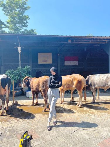 Foto Azhyra Rana Pinasthika summer yang viral karena memutuskan untuk pulang kampung dan berjualan sapi. Cerita tentang Azhyra bisa memberikan inspirasi bagi generasi milenial