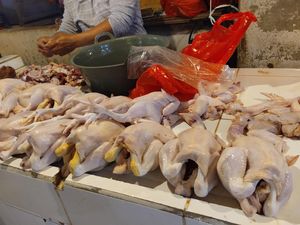 Harga Daging Ayam & Telur Anjlok, Jauh di Bawah Harga Acuan