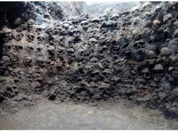 10 Tengkorak Kuno yang Punya Fakta Mengejutkan