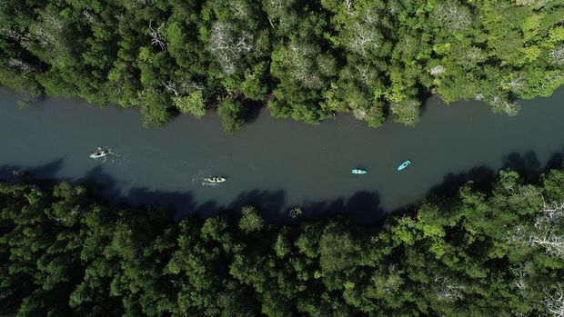 Main kayak di Hutan Mangrove Dusun Rangko
