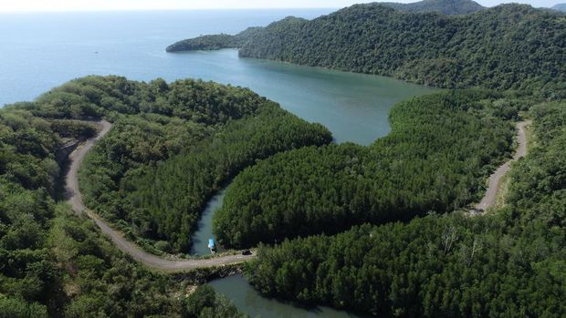 Main kayak di Hutan Mangrove Dusun Rangko