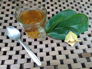 Khasiat Rebusan Daun Sirsak: Cara Merebus, Efek Samping, dan Aturan Minum