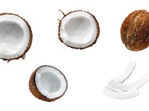 Kelapa Tidak Boleh Dibawa ke Pesawat, Ternyata karena Alasan Ini