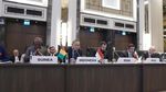 Mendag Zulhas Ajak Delegasi OKI Wujudkan Perdamaian Palestina