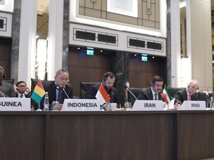 Mendag Zulhas Ajak Delegasi OKI Wujudkan Perdamaian Palestina