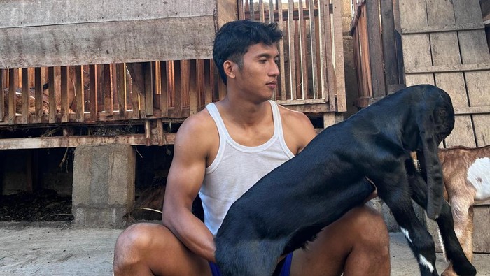 Mohammad Khanafi bersama ternak kambingnya