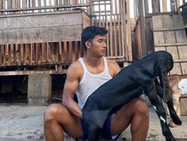 Semangat Bomber Persik Kediri Isi Libur Kompetisi dengan Ternak Kambing