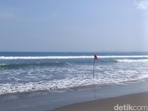 Bertambah Lagi Lumba-lumba yang Mati Terdampar di Pantai Pangandaran