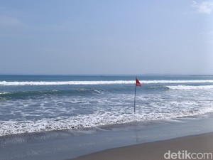 Bertambah Lagi Lumba-lumba yang Mati Terdampar di Pantai Pangandaran