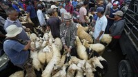 Menurut pengelola, sepekan menjelang Hari Raya Idul Adha pasar hewan di Jonggol kian ramai aktivitas jual beli.    