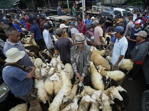 Sejarah Idul Adha dan Perayaannya di Berbagai Daerah Indonesia