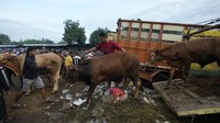 Menurut salah satu pedagang, penjualan hewan kurban di pasar ini mengalami peningkatan mencapai 60-80 persen dari kondisi normal. 