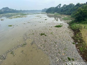 Pulau Sampah di Sungai Citarum: Viral Dulu, Lenyap Kemudian
