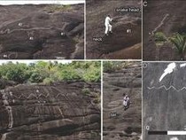 Ada Seni Ukir Batu Terbesar di Dunia Berusia 2.000 Tahun, Motif Manusia-Hewan