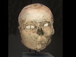 10 Tengkorak Kuno yang Punya Fakta Mengejutkan