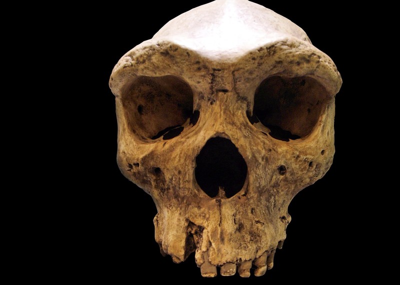 Tengkorak Kabwe