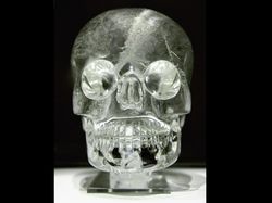 10 Tengkorak Kuno yang Punya Fakta Mengejutkan