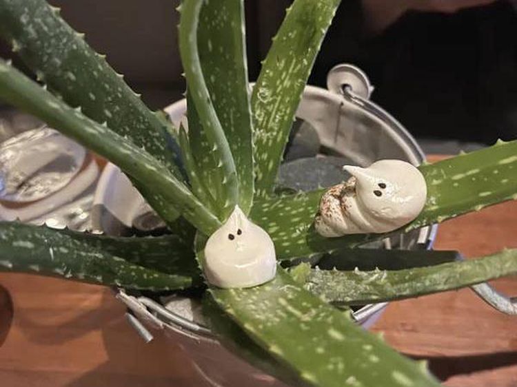 10 Penyajian Makanan yang Bikin Geleng Kepala karena Terlalu Kreatif