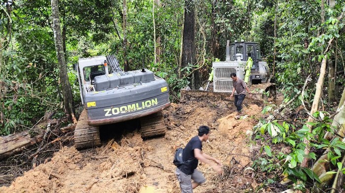 Alat berat yang diamankan tim gabungan di lokasi tambang batu bara ilegal di Berau. (Dok. Istimewa)