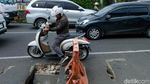 Awas! Penutup Gorong-gorong di Lebak Bulus Rusak