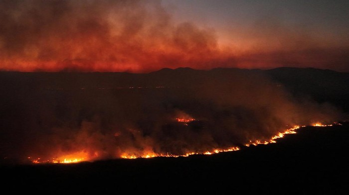 Smoke from a fire rises into the air in the Pantanal, the world's largest wetland, in Corumba, Mato Grosso do Sul state, Brazil, June 12, 2024. REUTERS/Ueslei Marcelino
