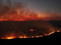 Ngeri! Kebakaran Lahan Basah Terbesar Dunia Meluas 10 Kali Lipat