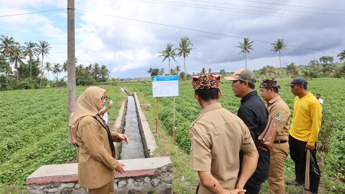 Bupati Ipuk