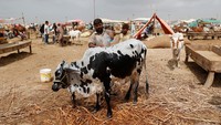 Pakistan dilanda inflasi di atas 20% sejak Mei 2022. Tahun lalu di bulan Mei, inflasi melonjak hingga 38% karena negara tersebut melakukan reformasi sebagai bagian dari program dana talangan Dana Moneter Internasional (IMF). Meskipun inflasi telah menurun, di pasar ternak utama di Karachi, kota terbesar di Pakistan, pelanggan mengatakan mereka masih menghadapi harga yang lebih tinggi dibandingkan tahun lalu.