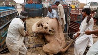 Pakistan sedang melakukan pembicaraan dengan IMF mengenai pinjaman yang diperkirakan berjumlah antara $6 miliar hingga $8 miliar untuk mencegah gagal bayar (default) bagi perekonomian yang tumbuh paling lambat di kawasan ini. Pakistan berhasil menghindari gagal bayar pada musim panas lalu berkat dana talangan jangka pendek IMF sebesar $3 miliar selama sembilan bulan.