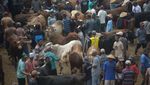 Tumpah Ruah Pasar Hewan Jelok Jelang Idul Adha