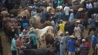 Aktivitas jual beli berlangsung ramai.