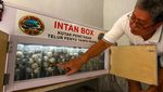 Inovasi Penetasan Telur Penyu di Banyuwangi