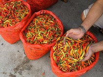 Harga Sembako Jogja Hari Ini 23 Desember 2024: Cabai Rawit Merah Ngegas!