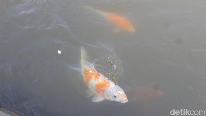 Kampung Leuwihieum, Kota Tasikmalaya