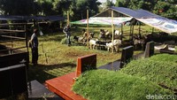 Kandang dan lapak itu berada di lahan kosong di area pemakaman.