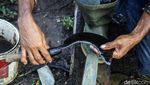 Manfaatkan Lahan Pemakaman Jadi Kandang Sementara Hewan Kurban