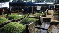 Pedagang memanfaatkan lahan pemakaman Tanah Kusir, Jakarta Selatan, sebagai kandang dan lapak menjual hewan kurban, Jumat (14/6/2024).