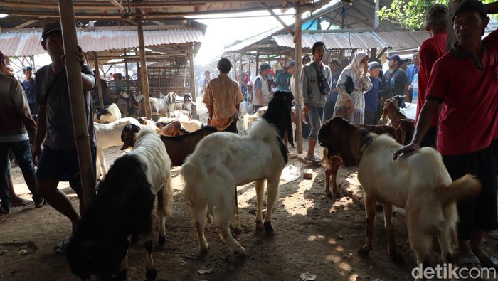Pasar hewan di Ponorogo